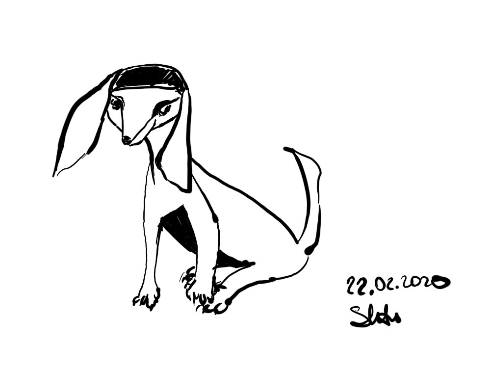 dog with cap lineart